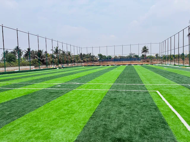 Turf photo 2