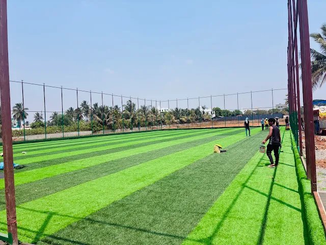 Turf photo 3