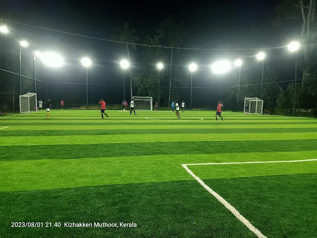 Turf photo 2