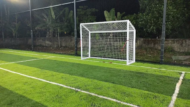 Turf photo 3