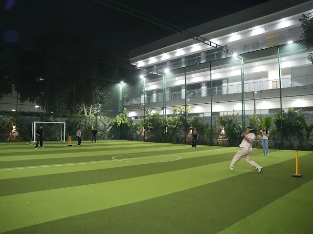 Turf photo 2