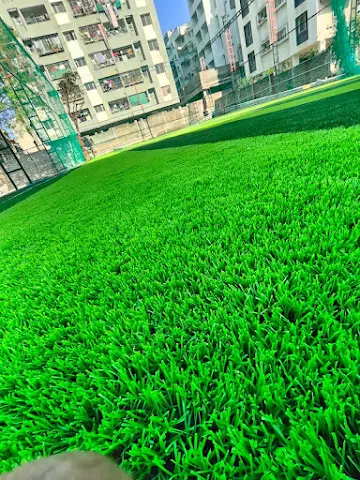 Turf photo 5