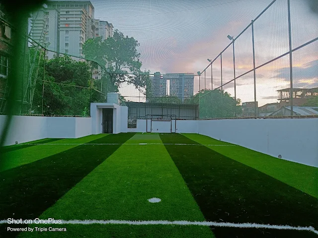 Turf main photo