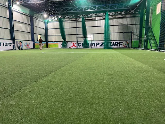 Turf photo 2