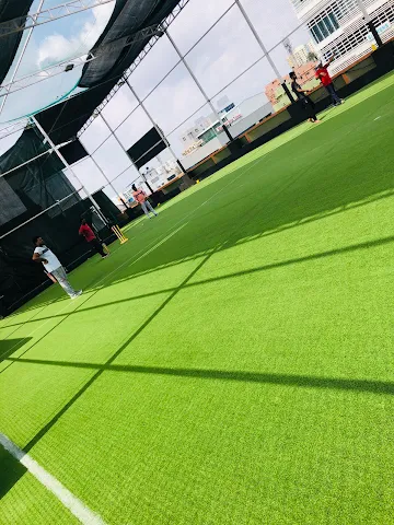 Turf photo 3