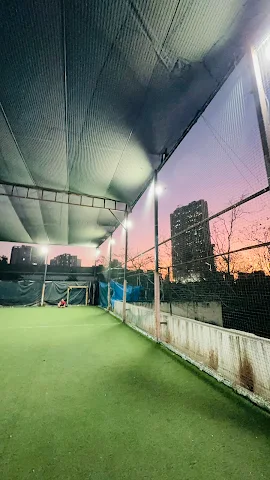 Turf photo 2