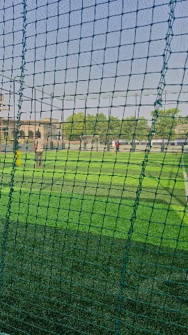 Turf photo 5