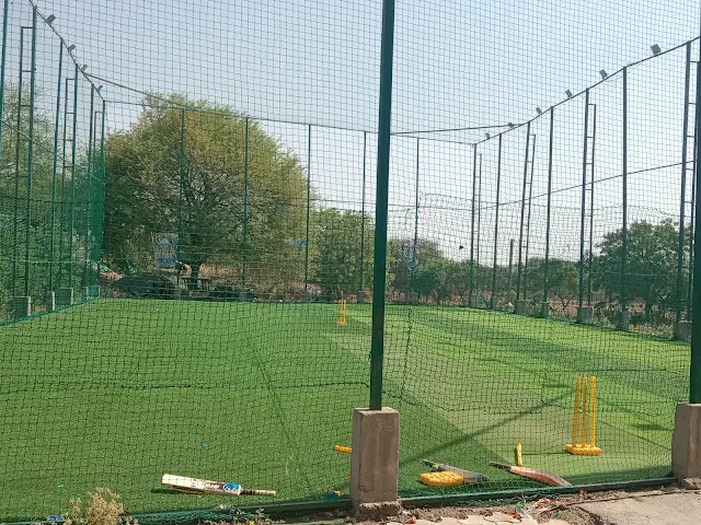 Turf photo 5