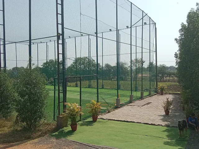 Turf photo 2