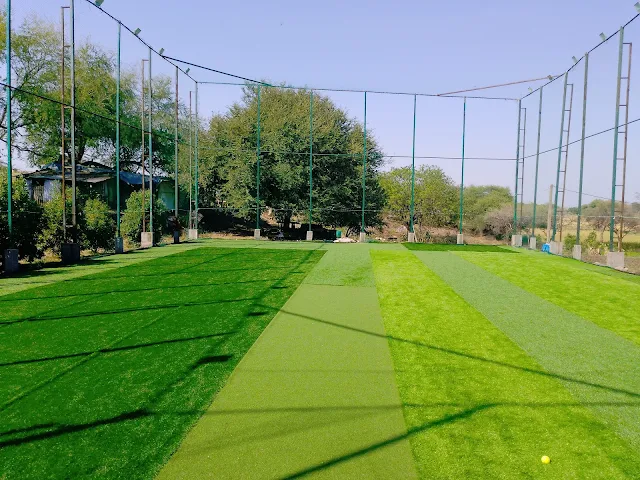 Turf main photo