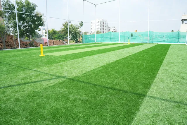 Turf photo 9