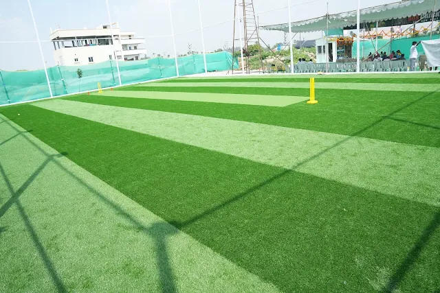 Turf photo 6