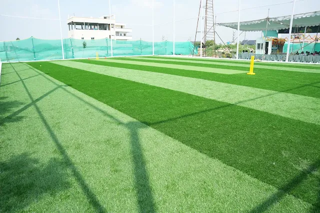 Turf photo 2