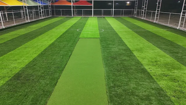Turf photo 6