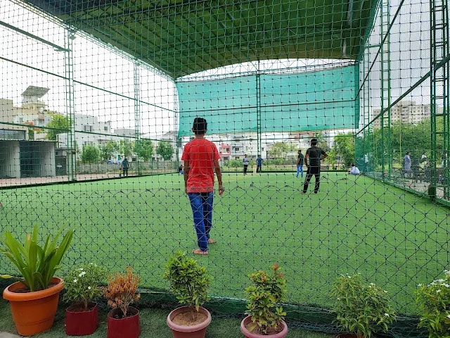 Turf photo 6