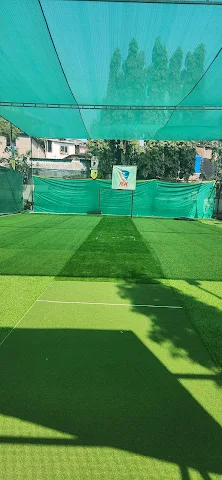 Turf photo 2