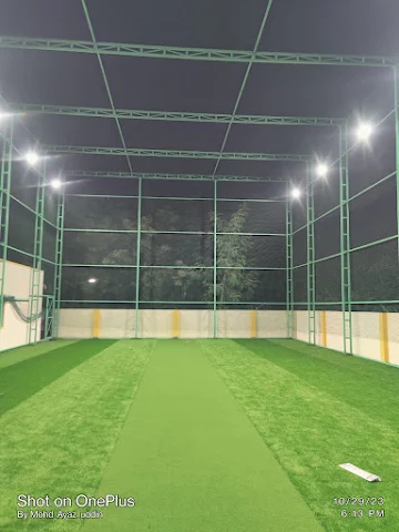Turf photo 2