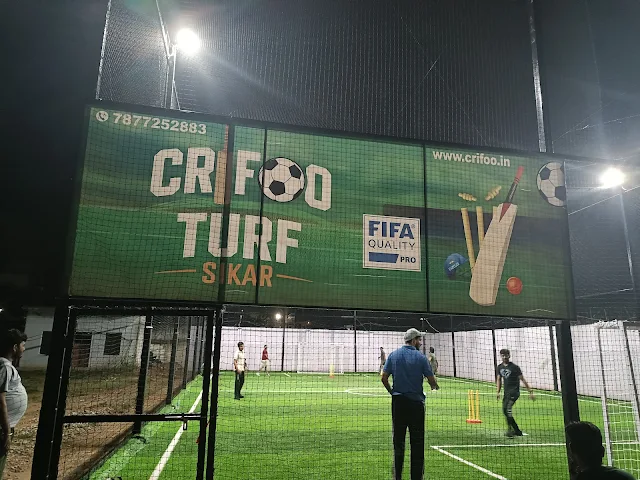 Turf photo 4
