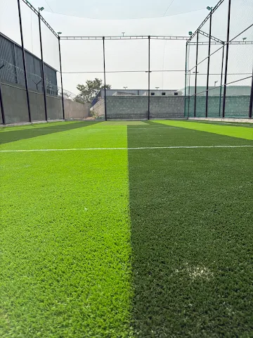 Turf photo 8