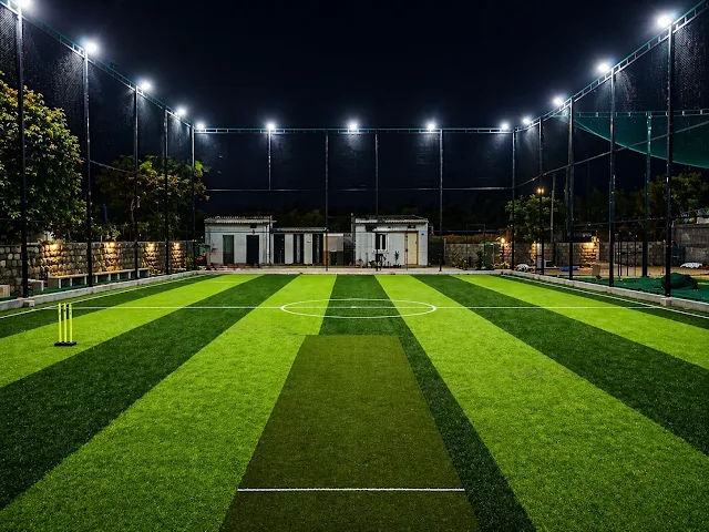 Turf photo 4