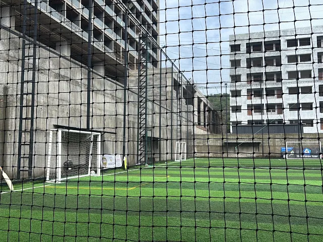 Turf photo 6