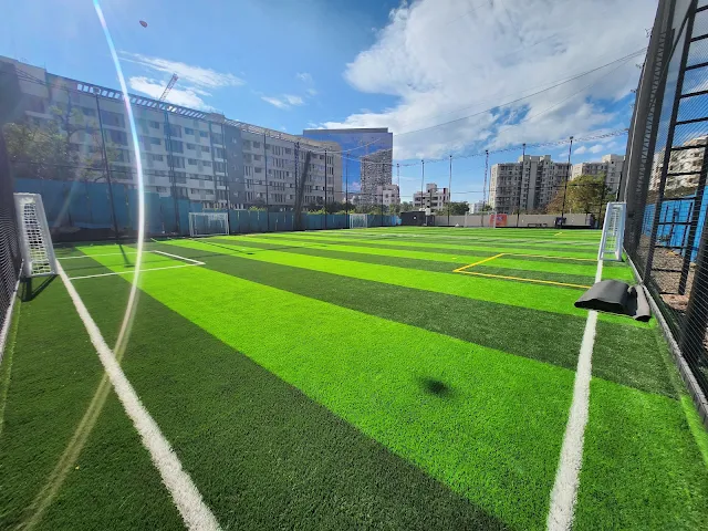 Turf photo 3