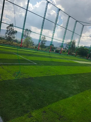 Turf photo 4