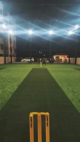 Turf photo 3
