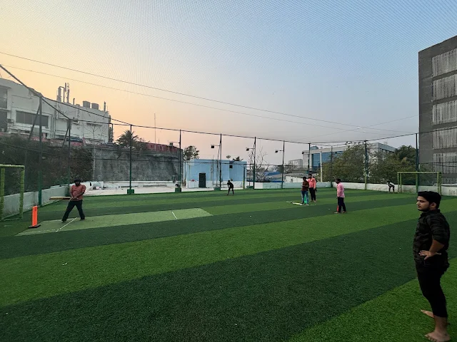 Turf photo 2