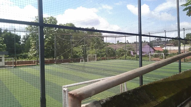 Turf photo 3
