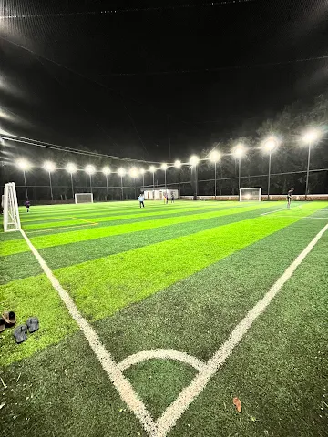 Turf photo 2