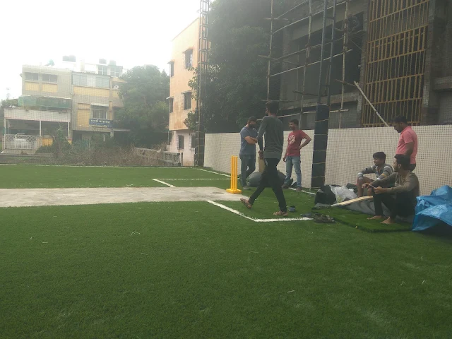 Turf photo 6