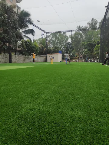 Turf photo 9