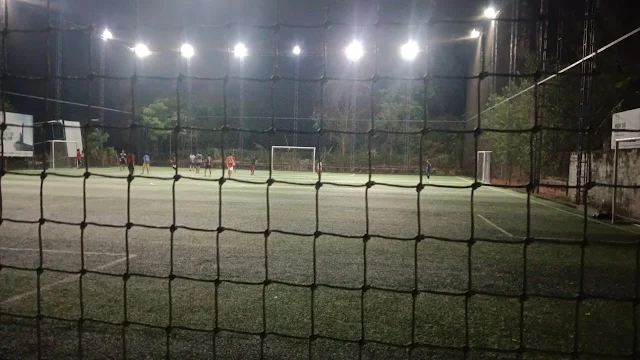 Turf photo 6