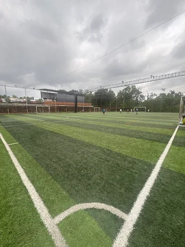 Turf photo 7