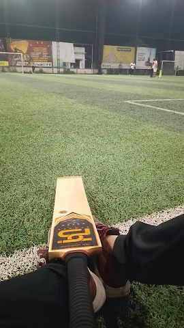 Turf photo 5