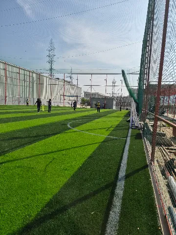 Turf photo 2