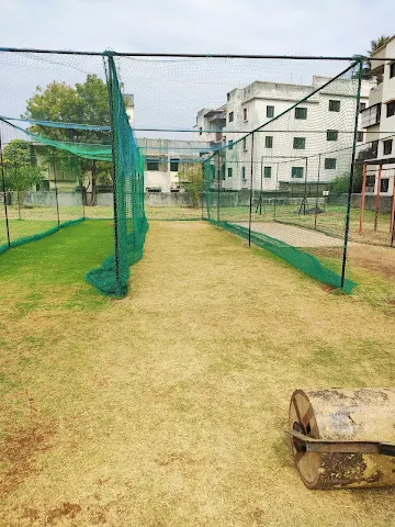 Turf photo 3