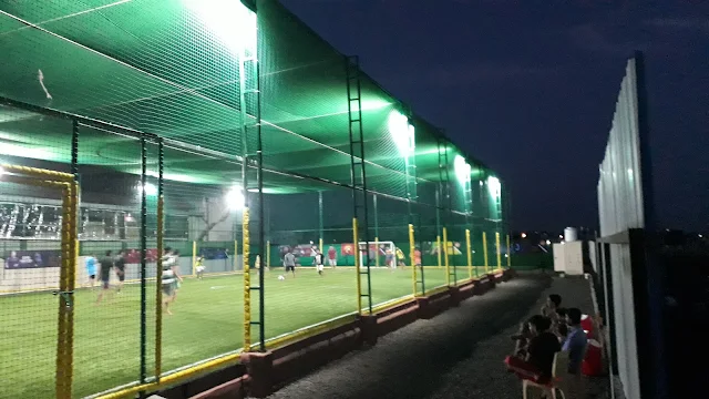 Turf photo 2