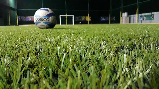 Tiger Turf