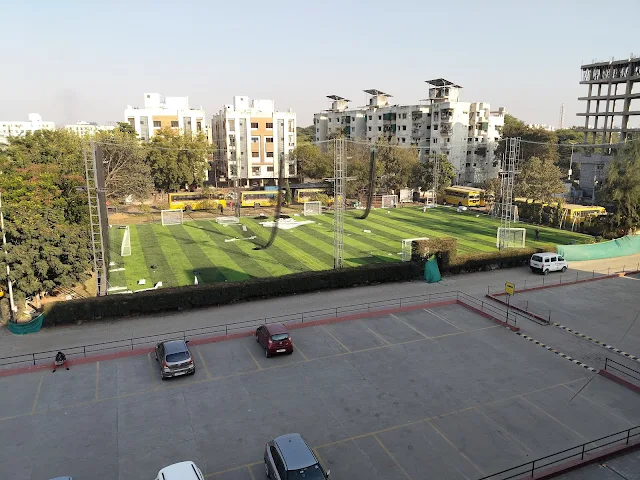 Turf photo 5