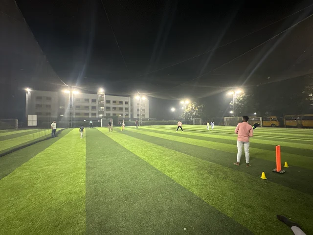 Turf photo 3