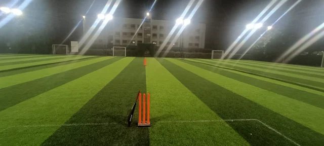 Turf photo 2