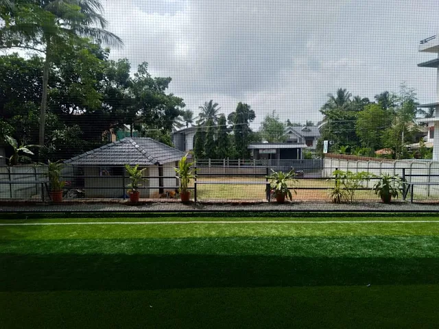 Turf photo 3