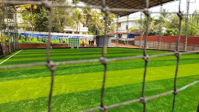 Turf photo 2