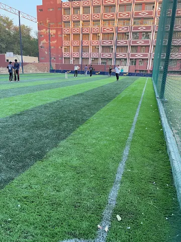 Turf photo 3