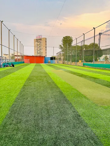 Turf photo 2