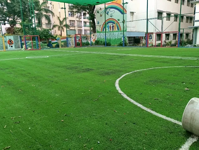 Turf photo 2