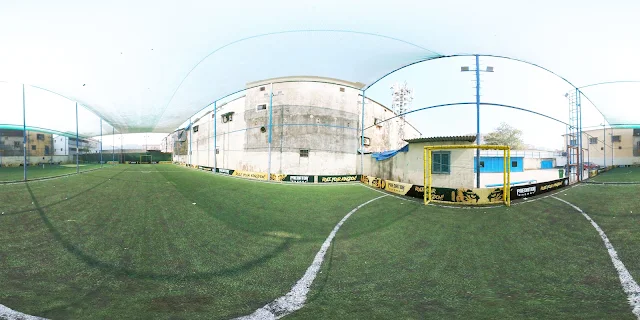 Turf photo 7