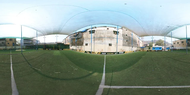 Turf photo 8